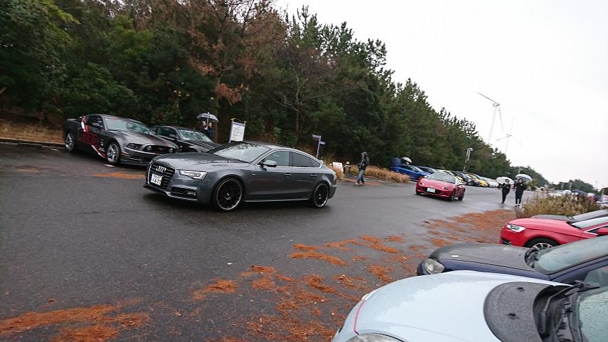 190120MAIKO (33).JPG